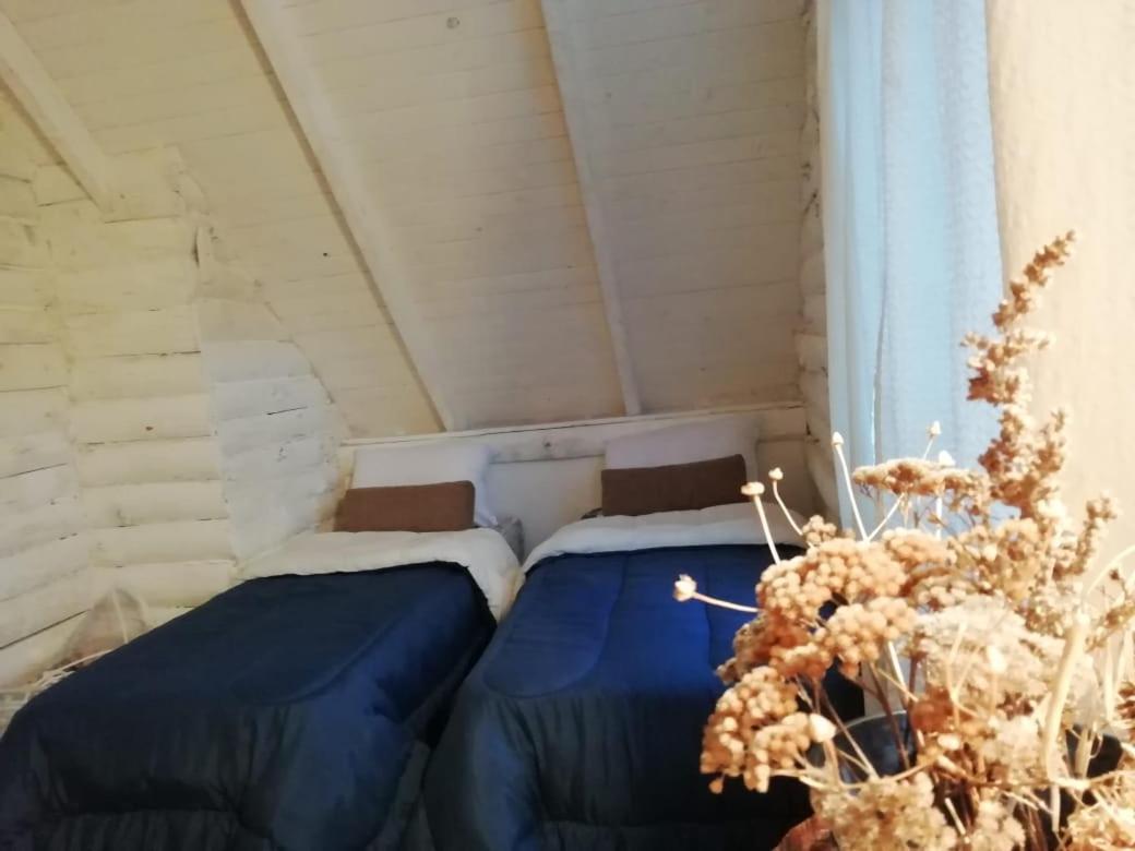 Cabana Azul Trevelín المظهر الخارجي الصورة